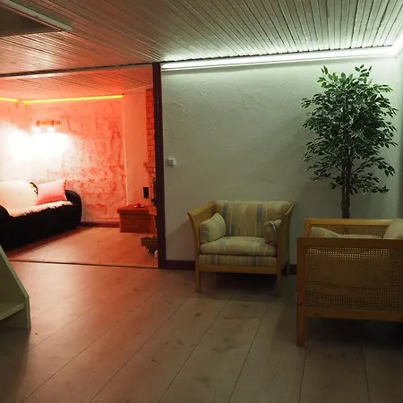 Daire Lootuse Tallinn